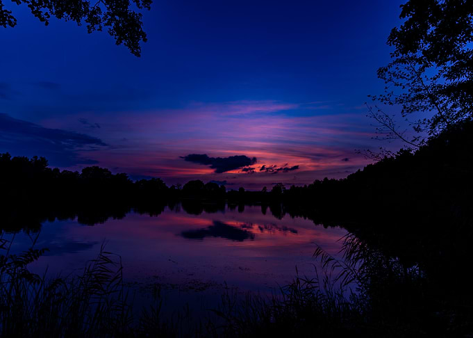 Silhouetted Lake Sunset