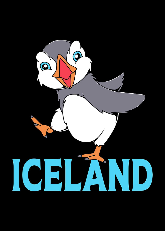 Iceland Puffin
