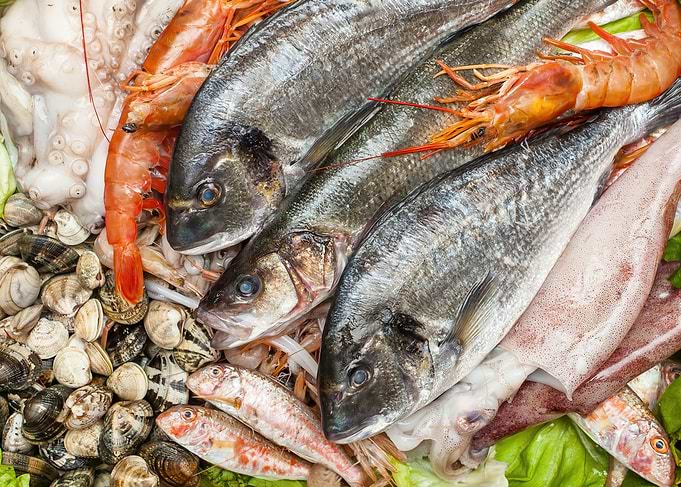 Fresh Seafood Market