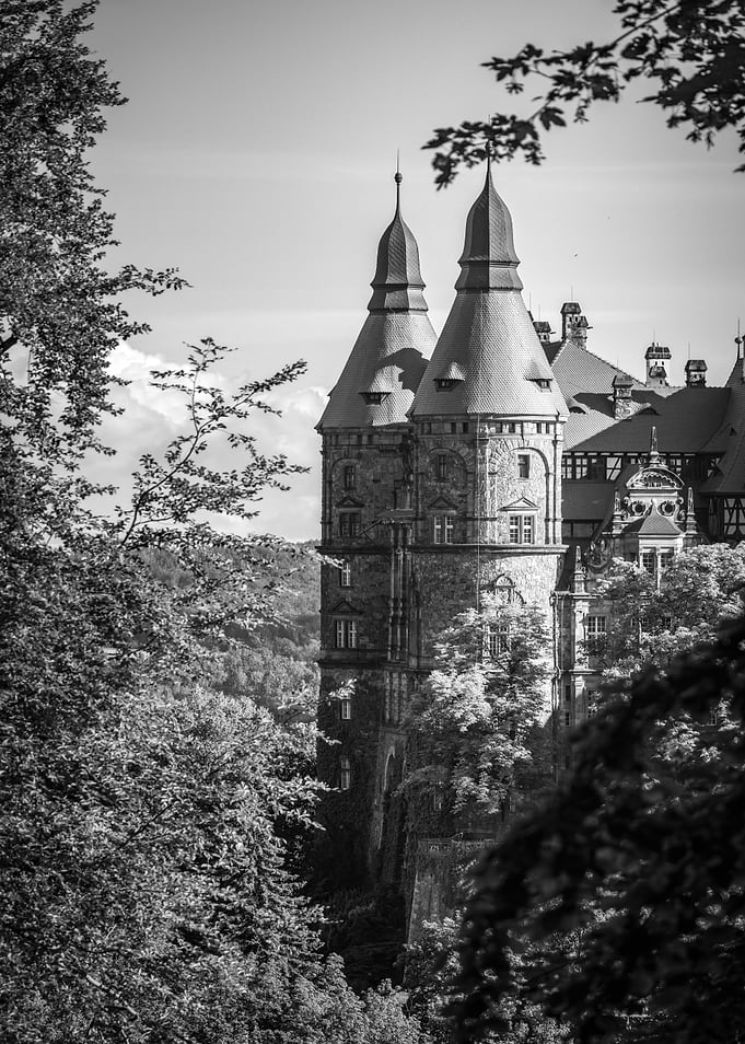 Castle Ksiaz, Walbrzych, Towers Through Trees