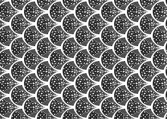 Black and White Scale Pattern