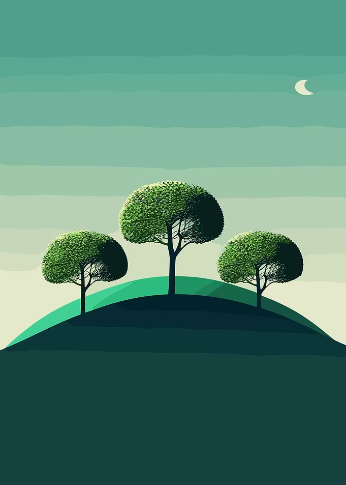 Three Trees on a Hill