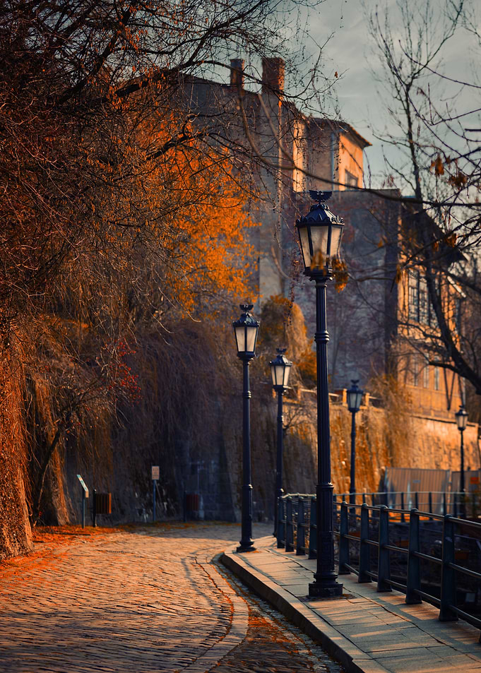 Cobblestone Street with Lampposts, Poland