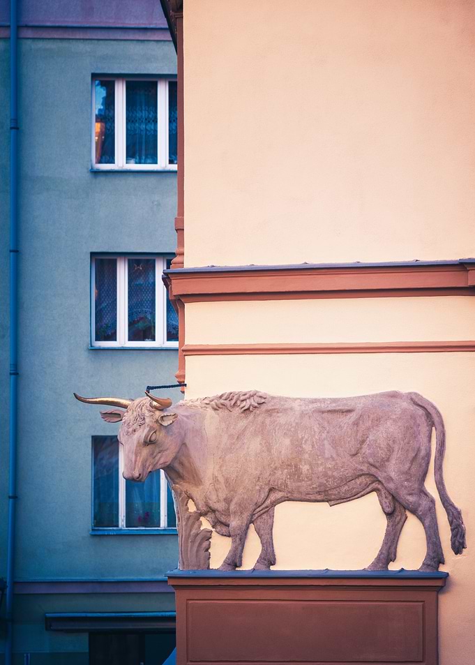 Bull Sculpture on Building