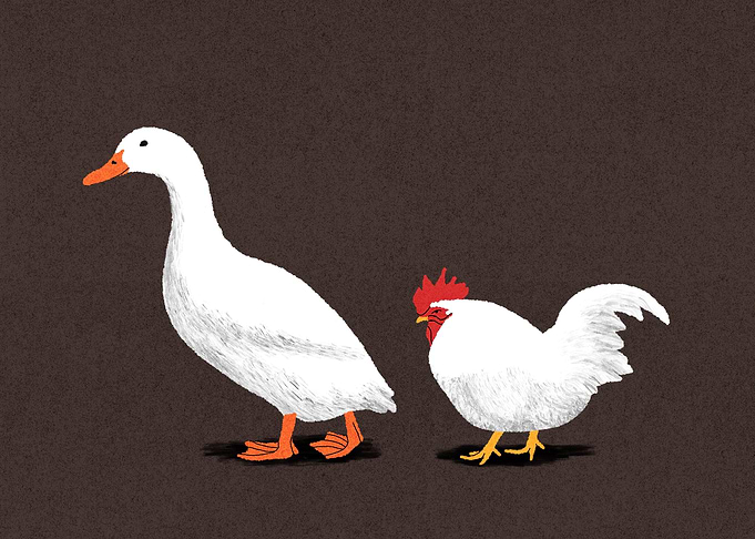 The Chicken & The Duck