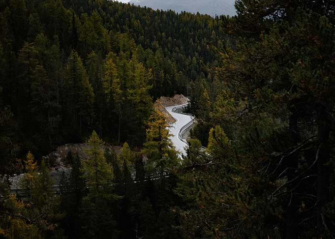 Winding Road Through Forest