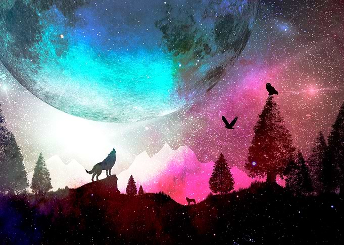 Wolf Howling Under Galaxy