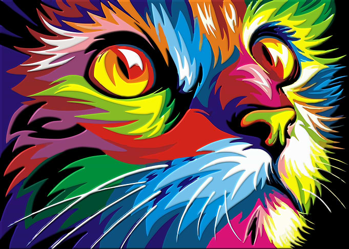 Colorful Cat Eye
