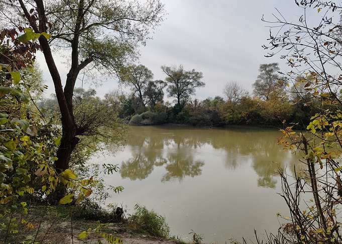 Riverbank in Autumn