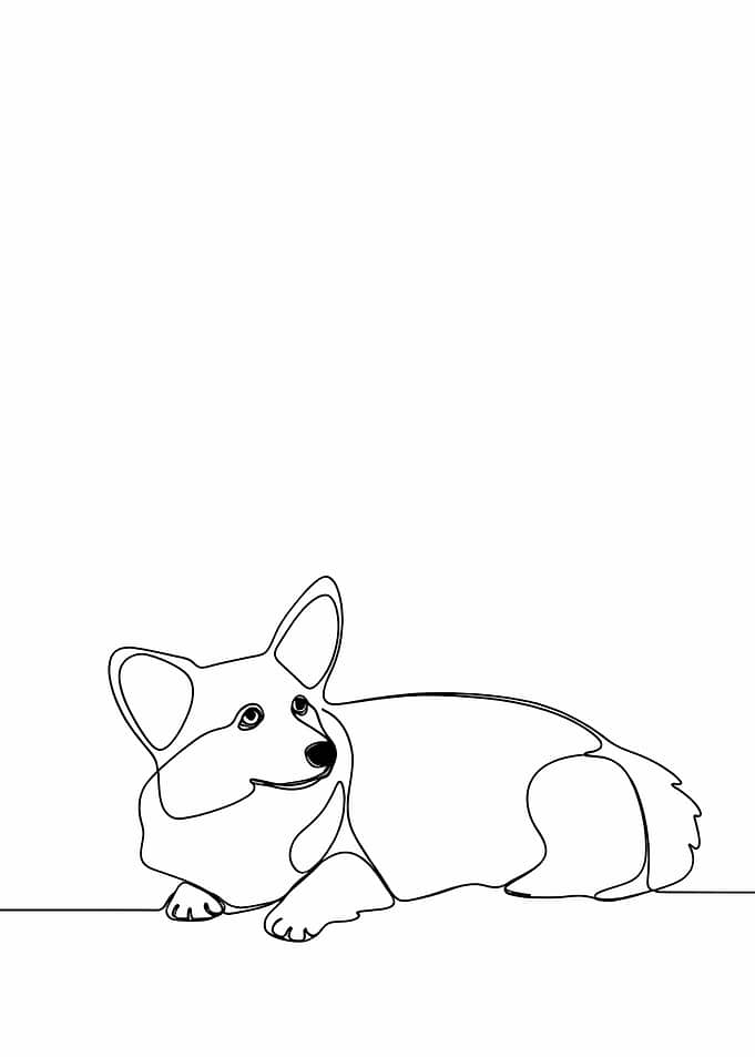 Corgi Line Art