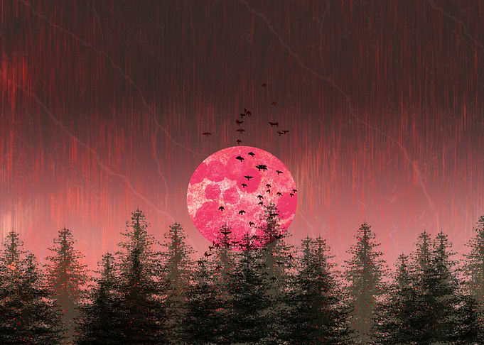 Pink Moon Forest