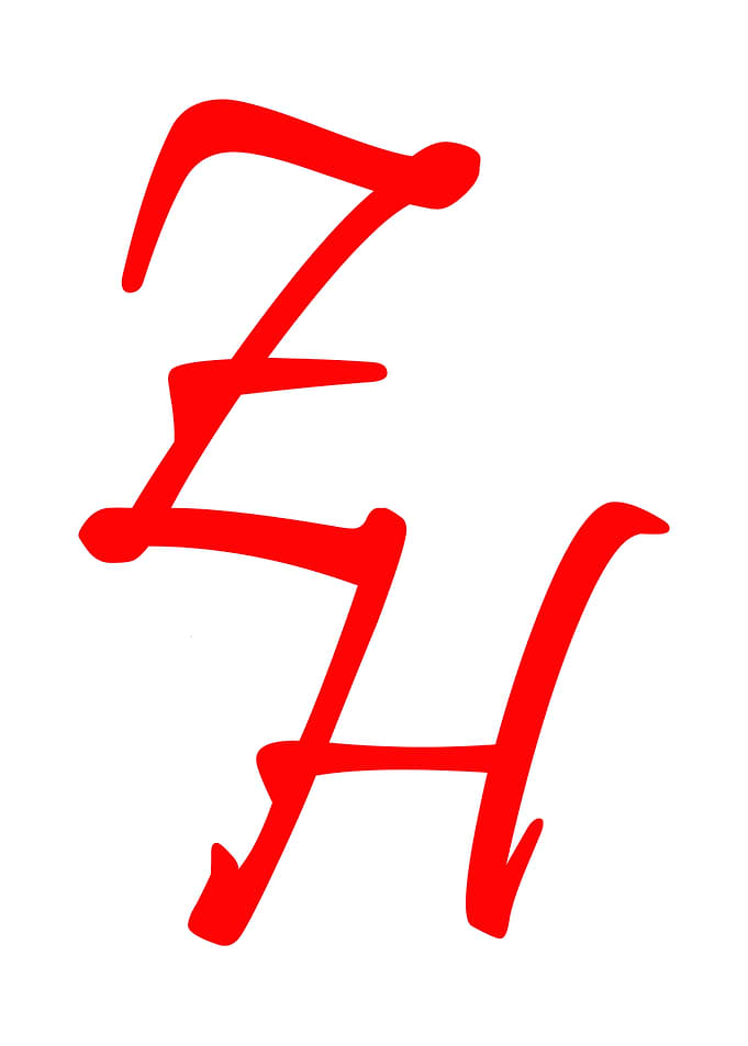Red Handwritten Letter Z