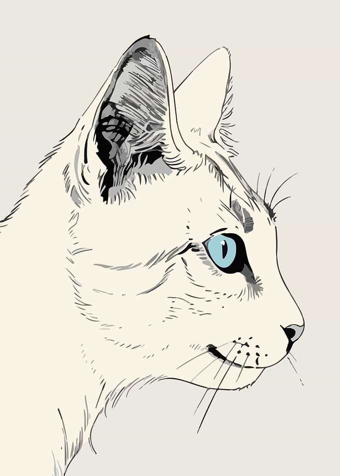 White Cat Portrait