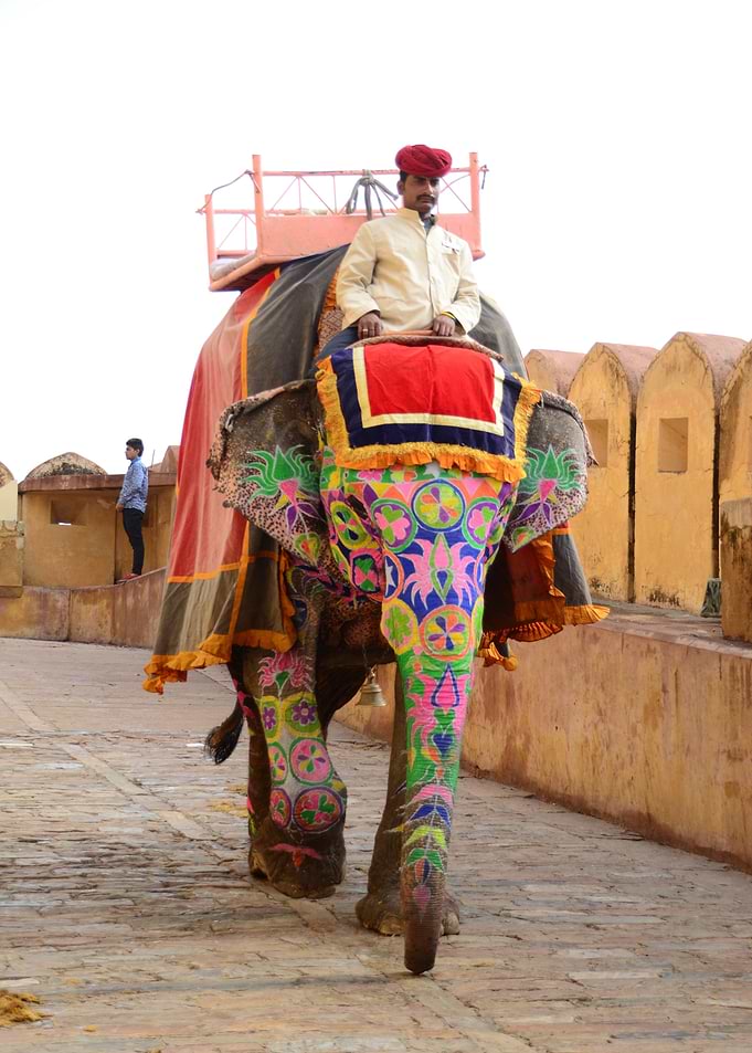 Decorated Elephant in India