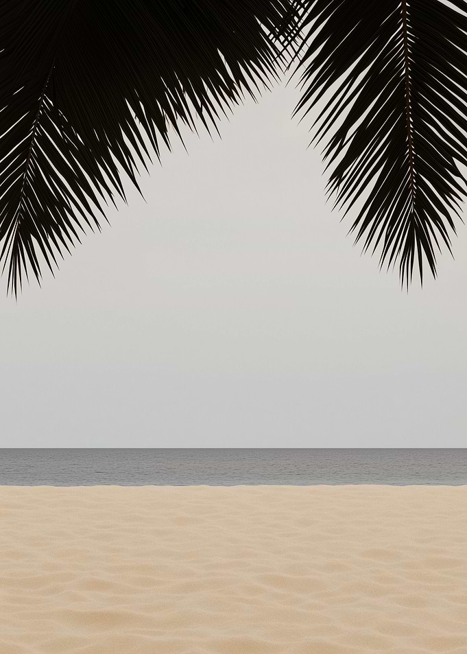 Palm Tree Silhouette Over Beach