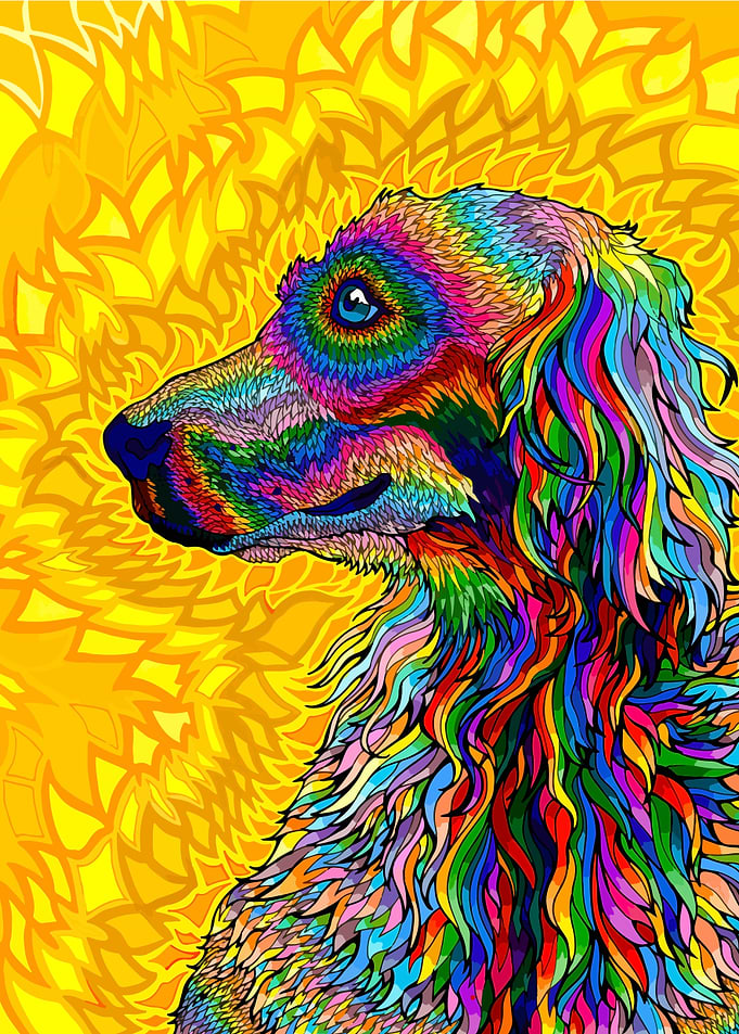 Rainbow Dog Portrait