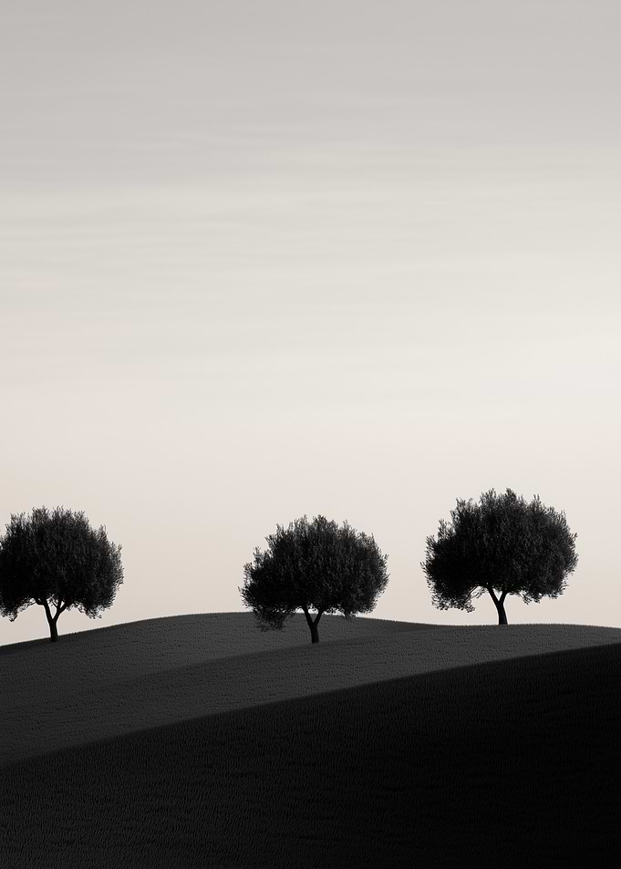 Silhouettes of Trees on a Hill