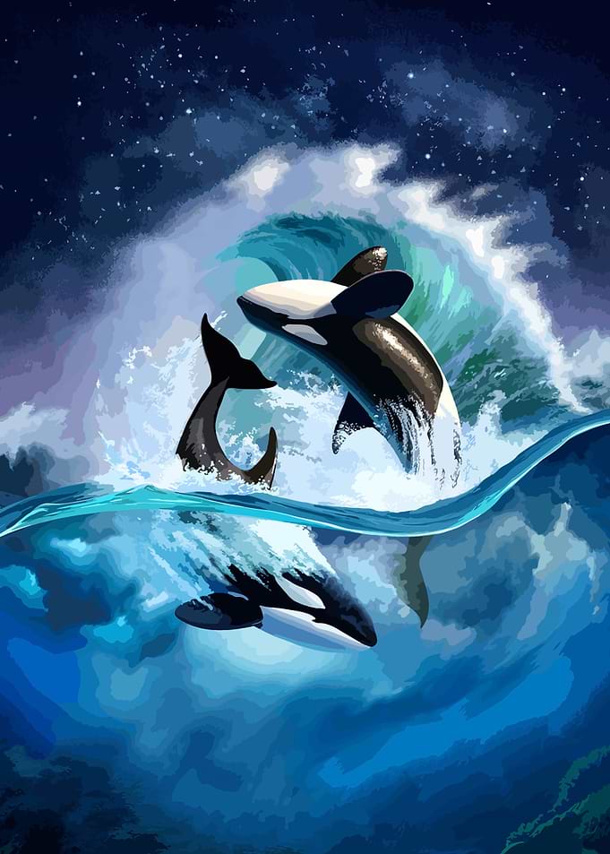 Orcas Leaping Through Waves