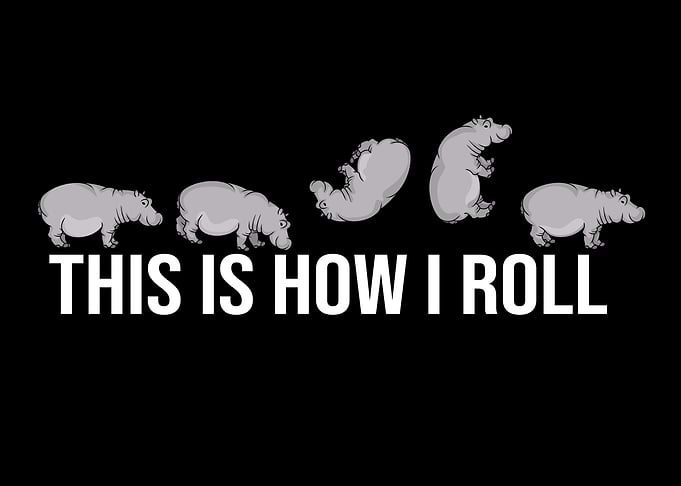 Funny Hippo Lover Kids How I Roll Hippopotamus