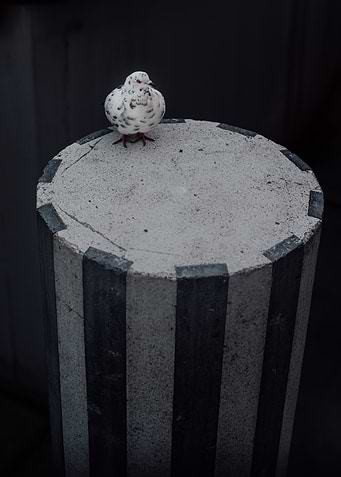 Black & White Dove on Black & White Striped Column