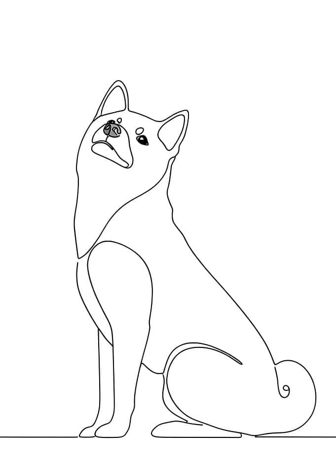 Shiba Inu Line Art