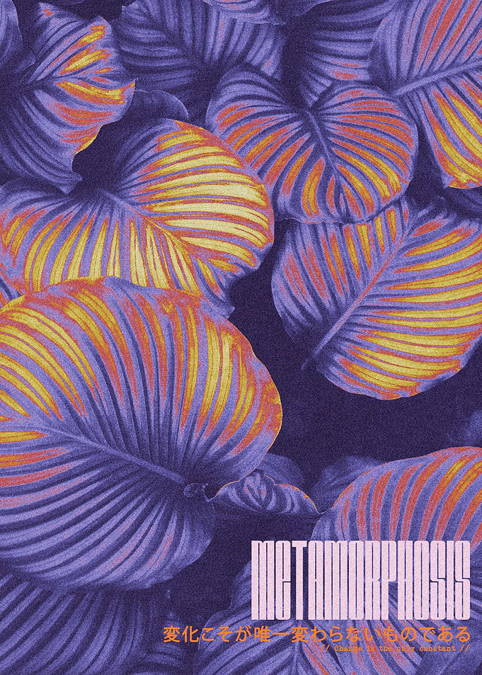 Metamorphosis