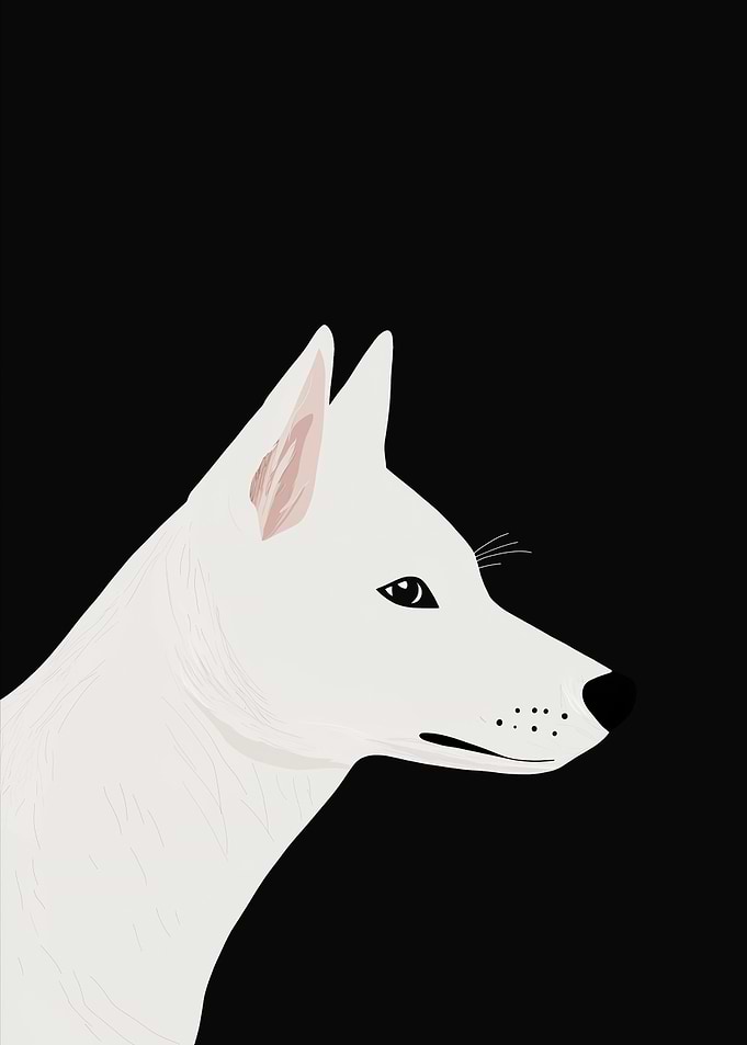 White Dog Portrait