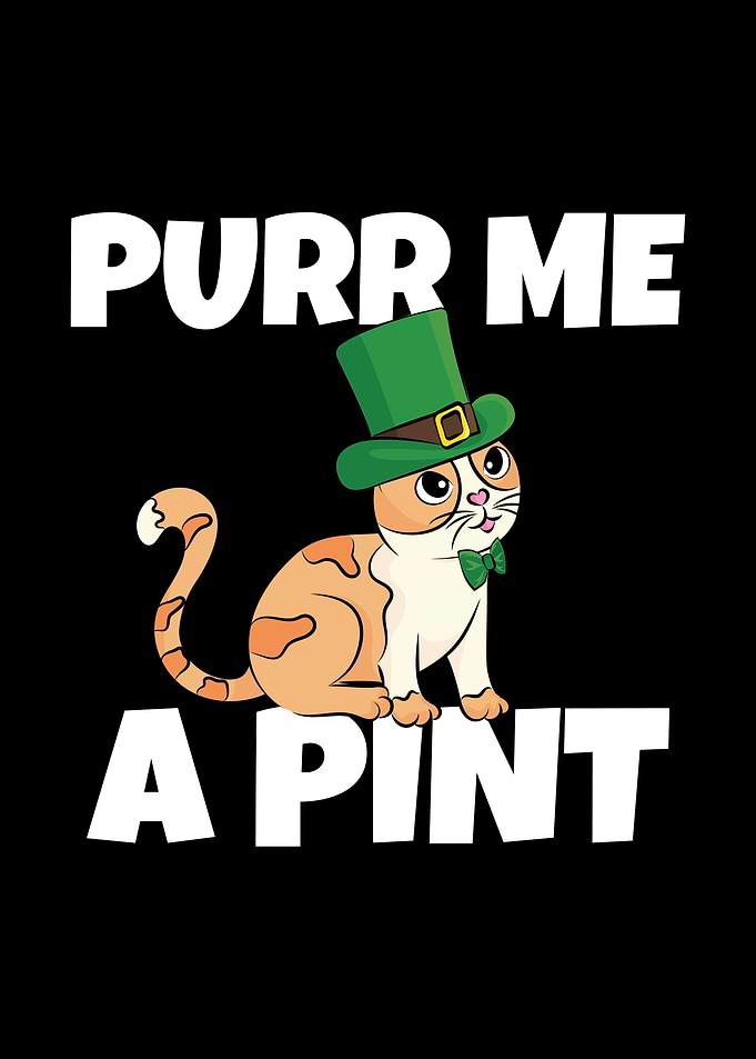 Funny Beer Cat Leprechaun