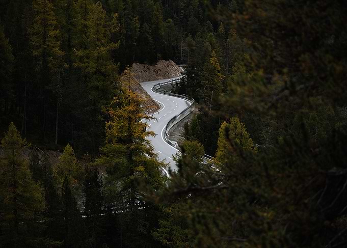 Winding Road Through Forest