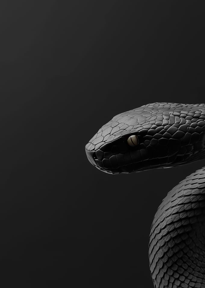 Black Snake Portrait