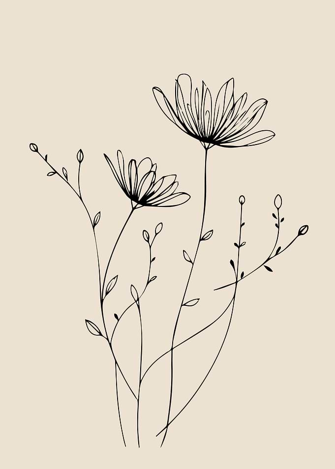 Minimalist Wildflower Line Art Elegant Botanical Wall Print