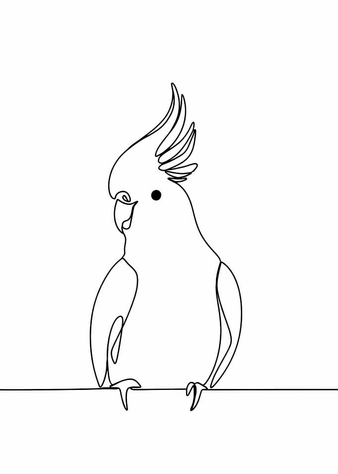 Cockatoo Line Art
