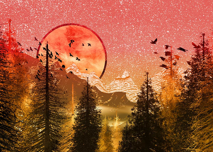 Red Moon Forest