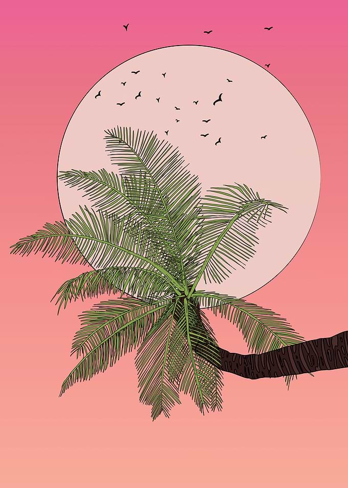 Palm Tree Sunset