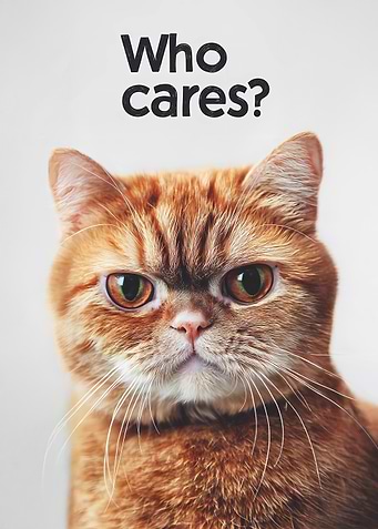 Cat with 'Who Cares?' Text