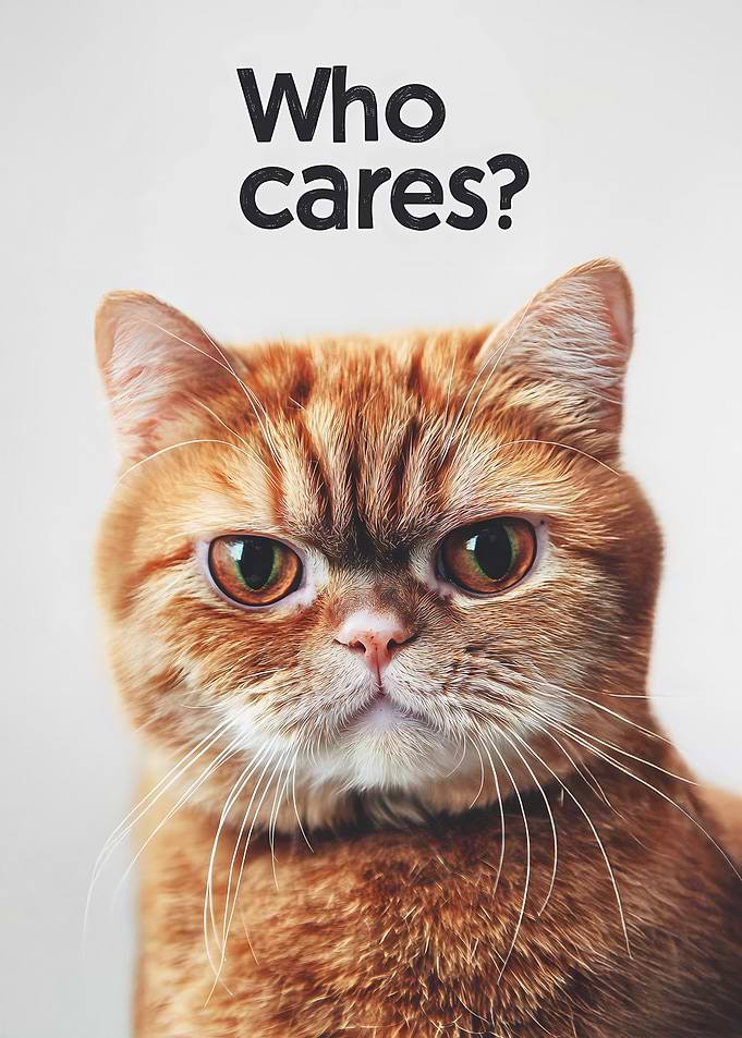 Cat with 'Who Cares?' Text