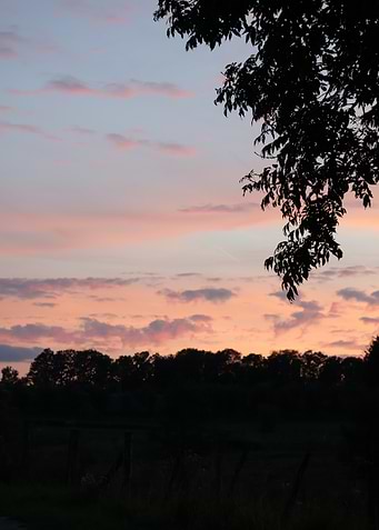 Pink Sunset Sky