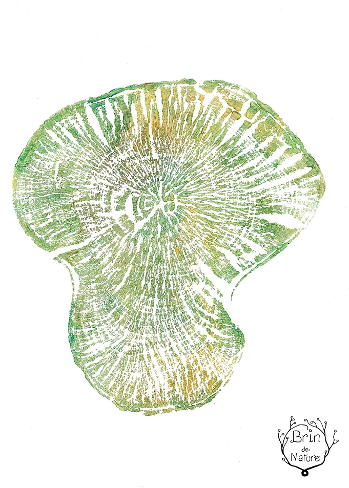 Green Watercolor Tree Ring