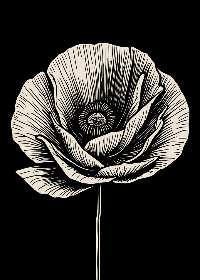 Vintage Botanical Poppy Flower Print in Black and White