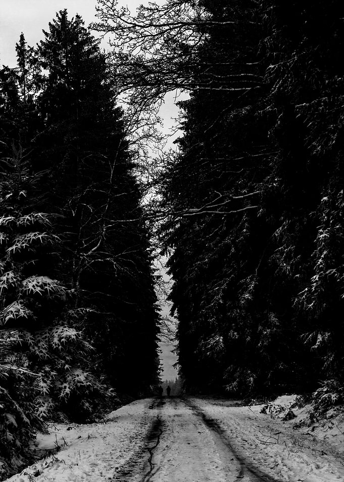 Snowy entrance