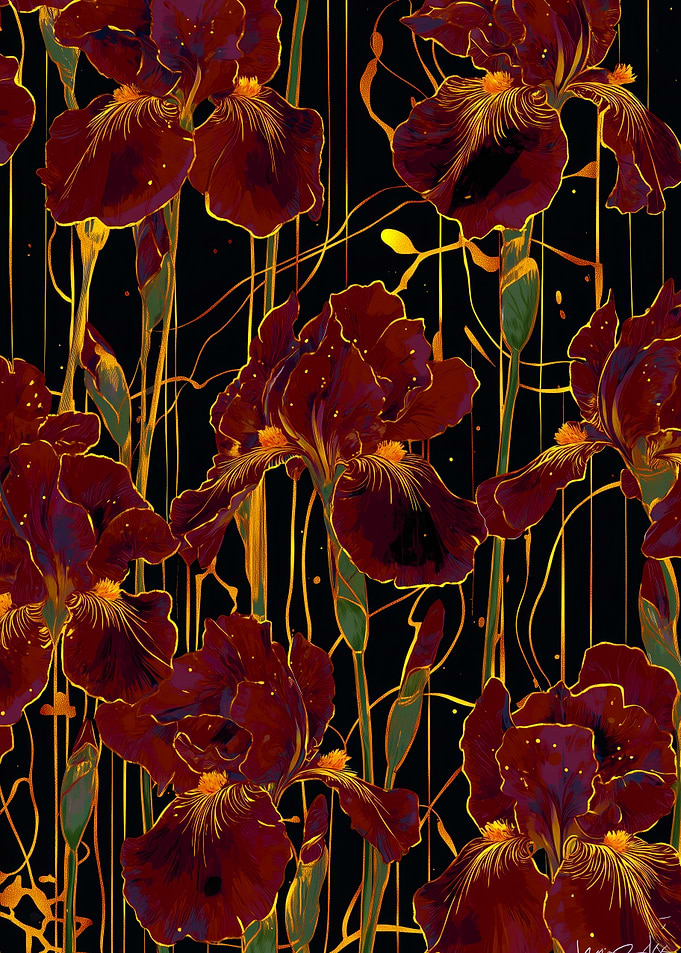 Burgundy Irises on Black