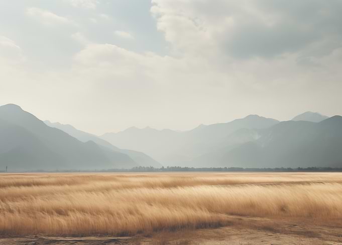 Field and mountains