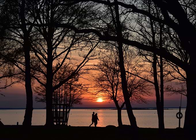 Silhouetted Sunset