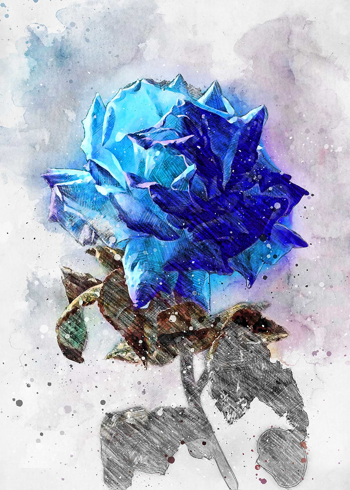 Blue Rose Watercolor