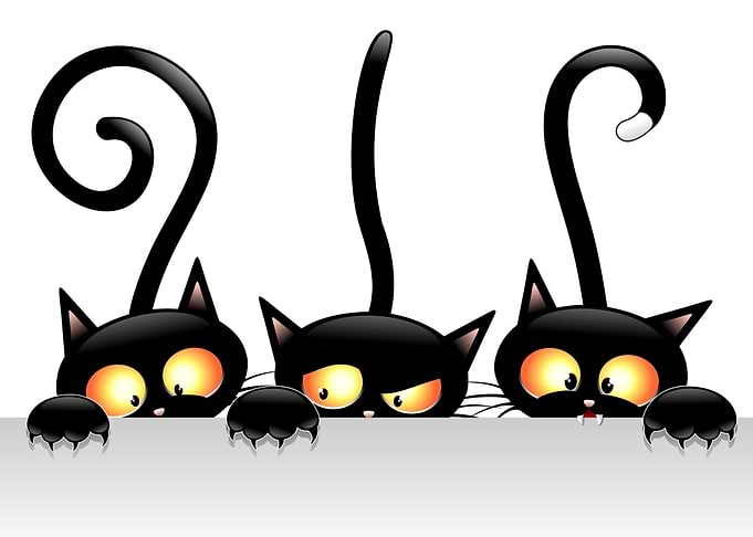Three Black Cats Peeking