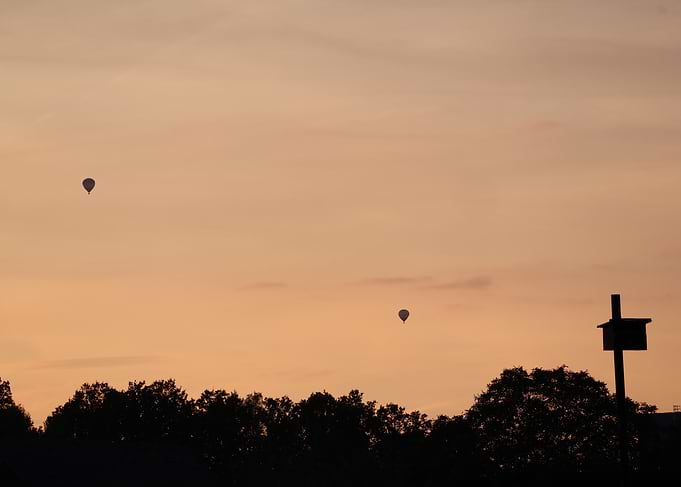 Hot Air Balloons at Sunset