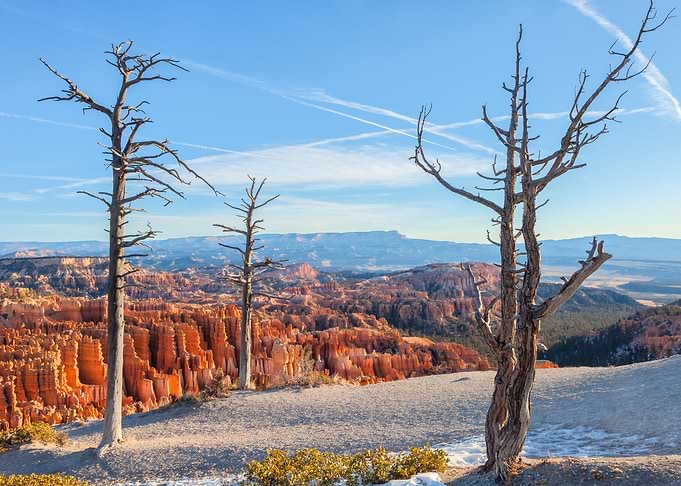Bryce Canyon Landscape