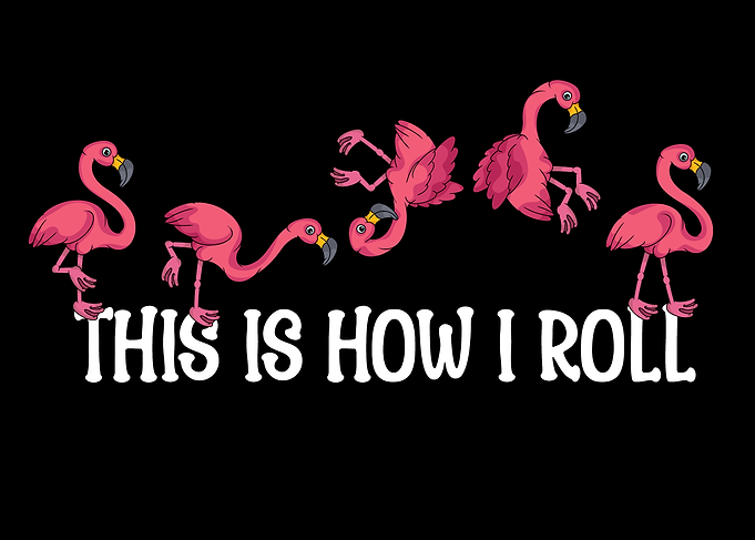 Flamingo Lover Kids How I Roll Funny Pink Flamingo