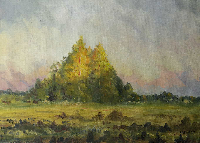 Summer Sunset