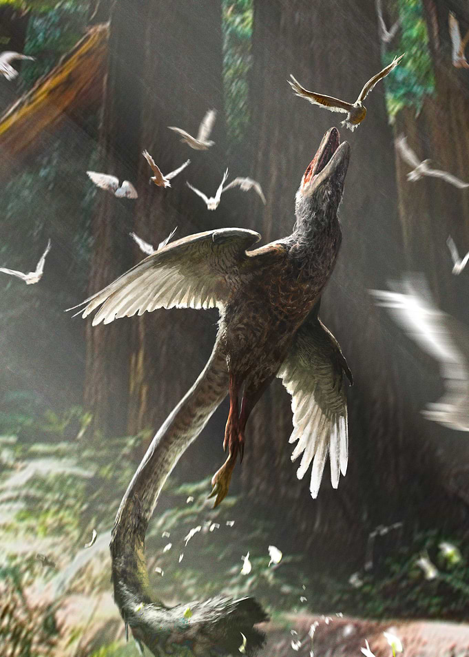 Flight